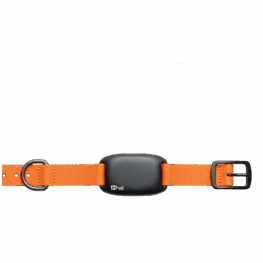 HeiTech GPS Tracker for Pets Compact GPS tracker for pets with orange strap by HeiTech.